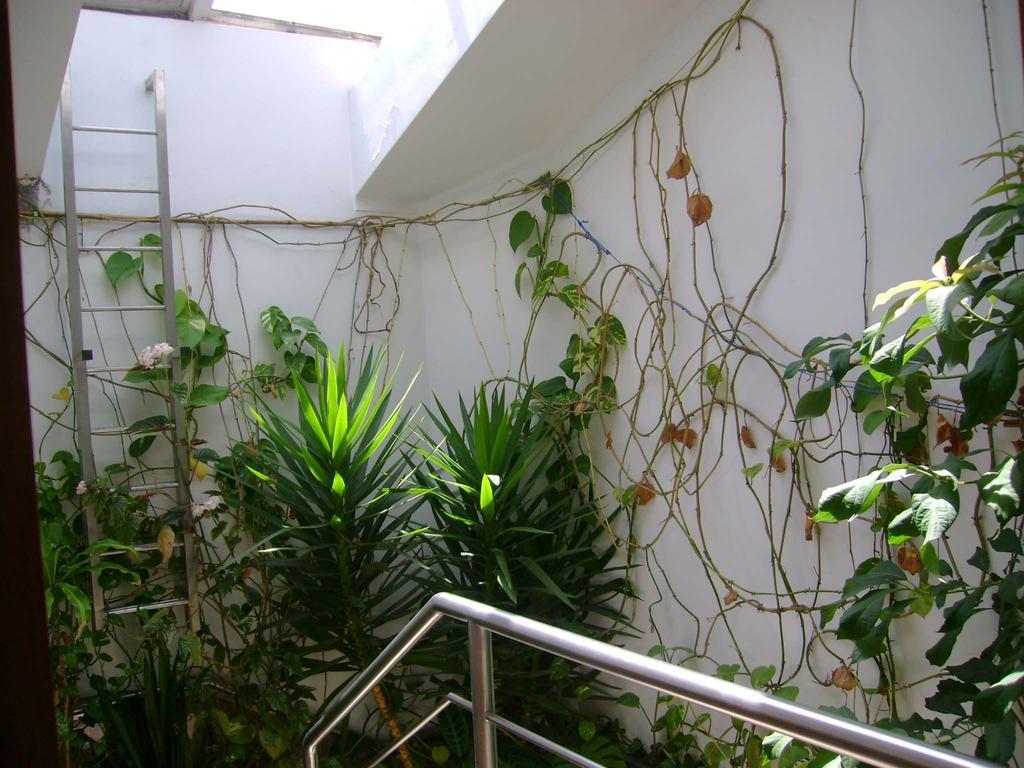 Residencial Moeda Hotel Coimbra Luaran gambar